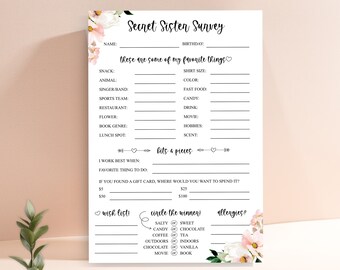 Secret Sister Survey Secret Sister Questionnaire Get To Know You Template All About Me Worksheet Get To Know You Questions Favorites Survey