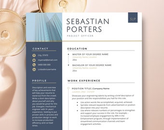 Professional Resume Template for Pages, Modern Resume Template CV Template, Finance Resume Template, Executive Resume Template Word