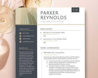 C-Level Resume Template, Apple Pages Resume, Director Resume Template Corporate Resume, CEO Resume Template Cv Template 3 Page Resume