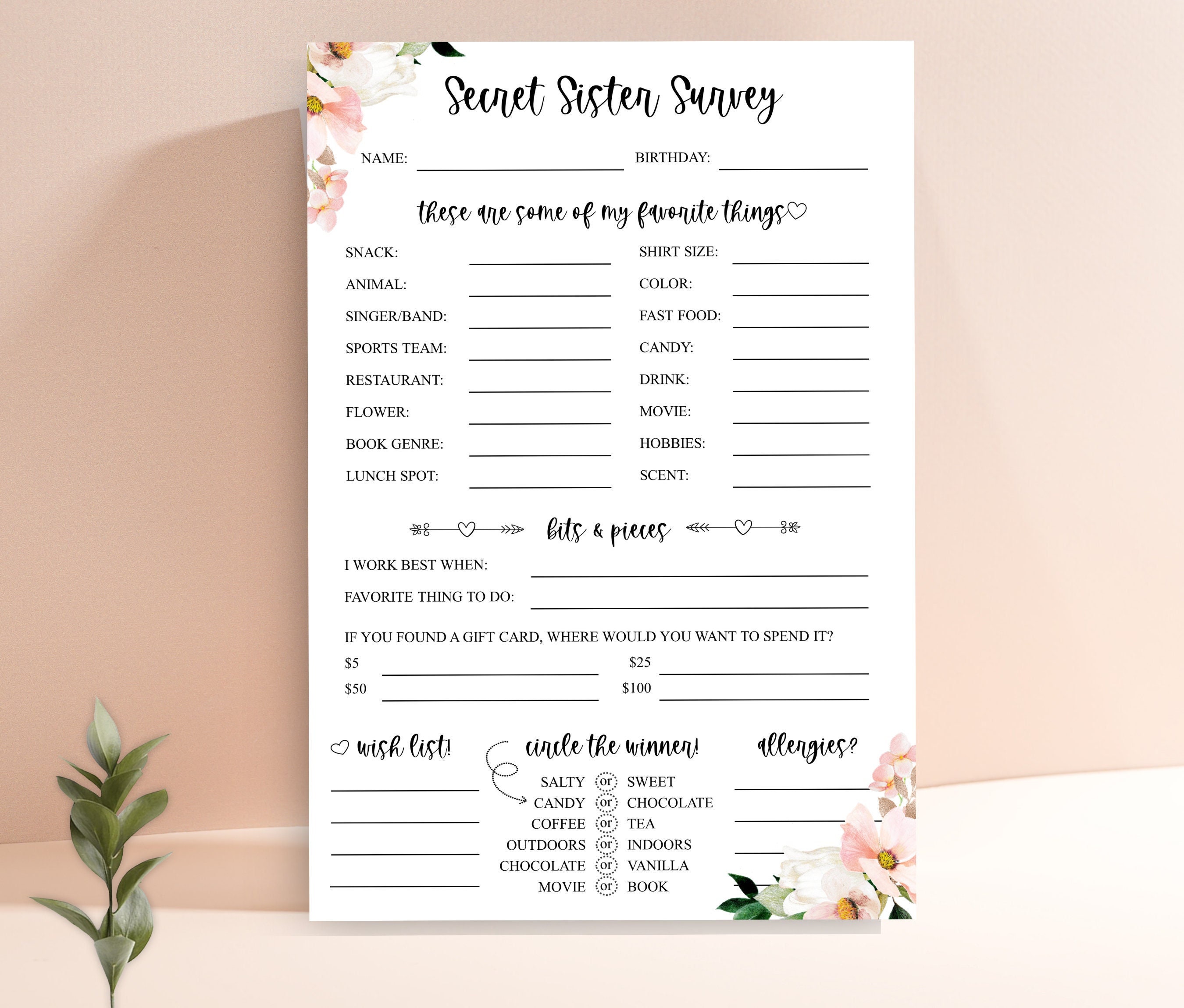 Secret Sister Survey Secret Sister Questionnaire Get to Know - Etsy