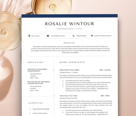 Accountant Resume Template Apple Pages Resume, Executive CV Template Best Resume Template Digital Resume Download, Finance Resume with Icon