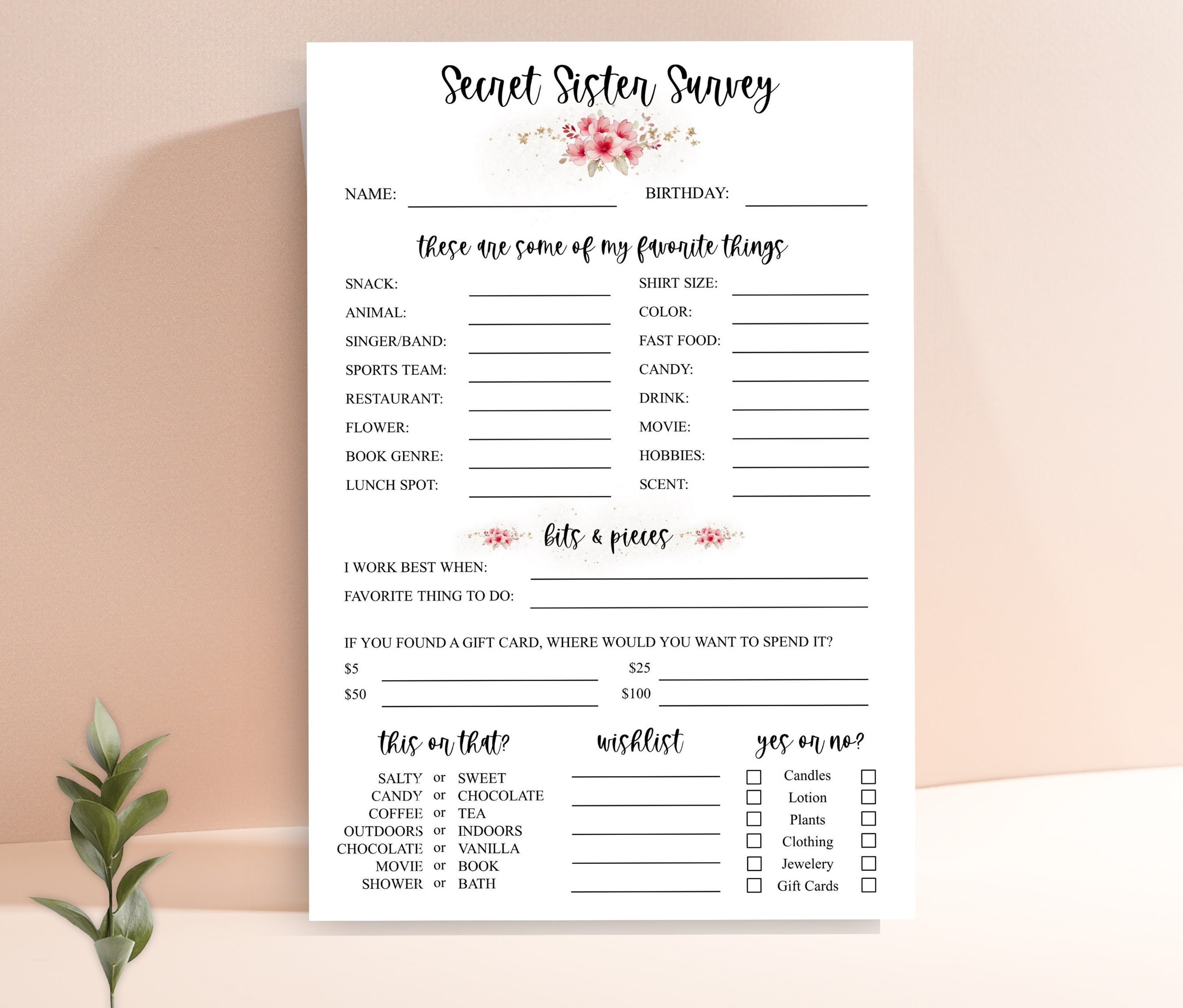 secret-sister-questionnaire-get-to-know-you-template-secret-sister