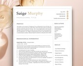 CV Template Modern Google Docs Resume, Two Column Resume Templte for Google Docs, Simple Resume and CV Format,  Stylish Resume Template