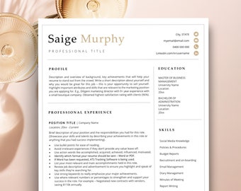 CV Template Modern Google Docs Resume, Two Column Resume Templte for Google Docs, Simple Resume and CV Format,  Stylish Resume Template