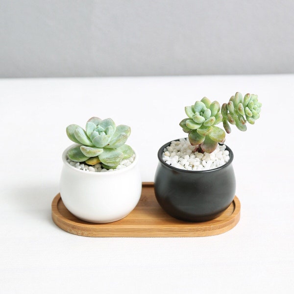 Black and White Pots Etsy