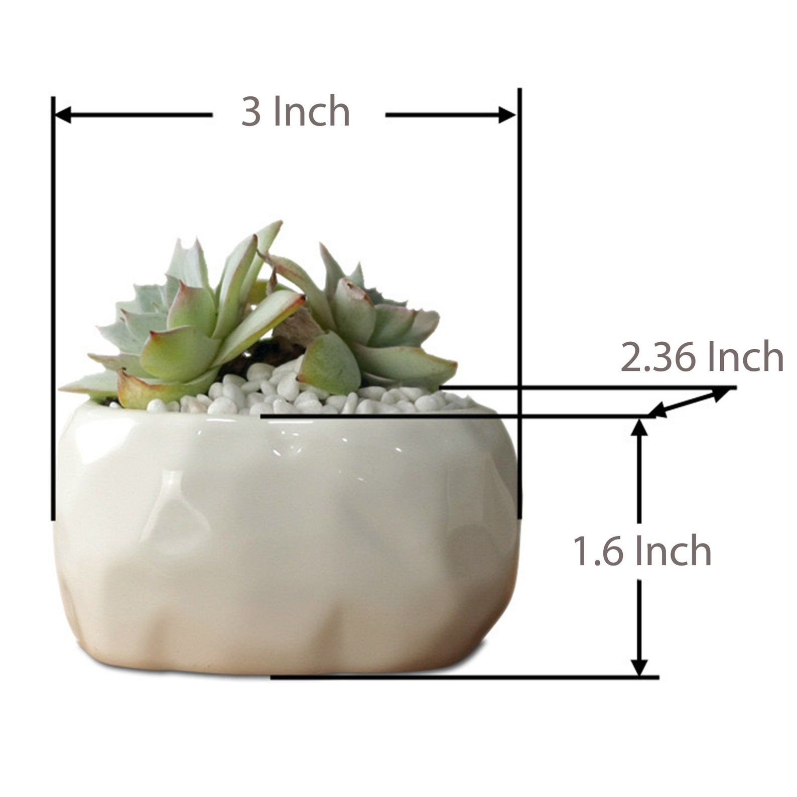White Ceramic Pots Ceramic Planter succulent Pots Etsy