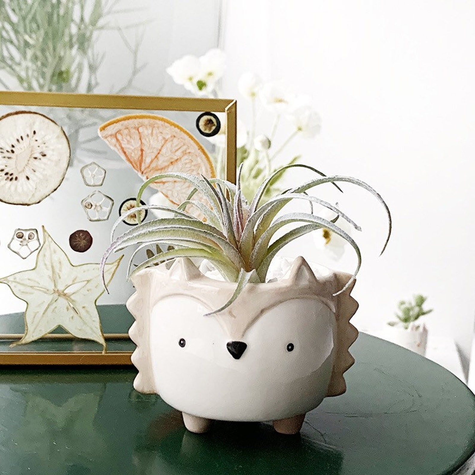 Cute Animal style ceramic planters with Drainage hole Etsy
