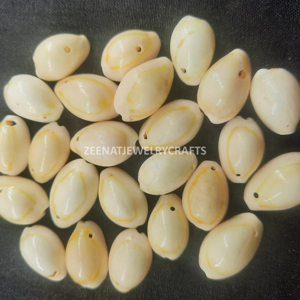 Cowrie Shells - sliced puka shells, cowrie shells, White Yellow Kodi sea shells, wholesale bulk shells, diy shell jewelry making crafts