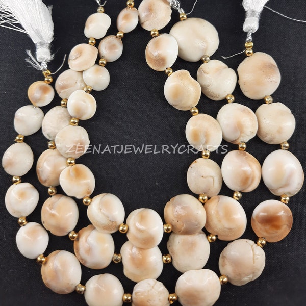 8" Natural Shive Eye Shell Smooth Coin Shape Operculum Gemstone Beads For Jewelry Making Crafts