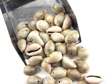 Natural Smooth Kodi White Kaudi Sea Shell Kawri Hippie Bohemian Kodi Jewelry Making Crafts