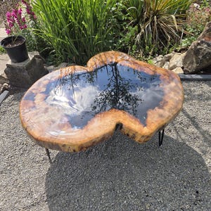 Könnte beinhalten: Ein Couchtisch aus Baumkantenholz mit einer natürlichen, unregelmäßigen Holzplatte und einem glänzenden, dunklen Harzkern, der den Himmel reflektiert. Der Tisch wird von dünnen, schwarzen Haarnadelbeinen aus Metall getragen, die einen Kontrast zum Holz bilden.