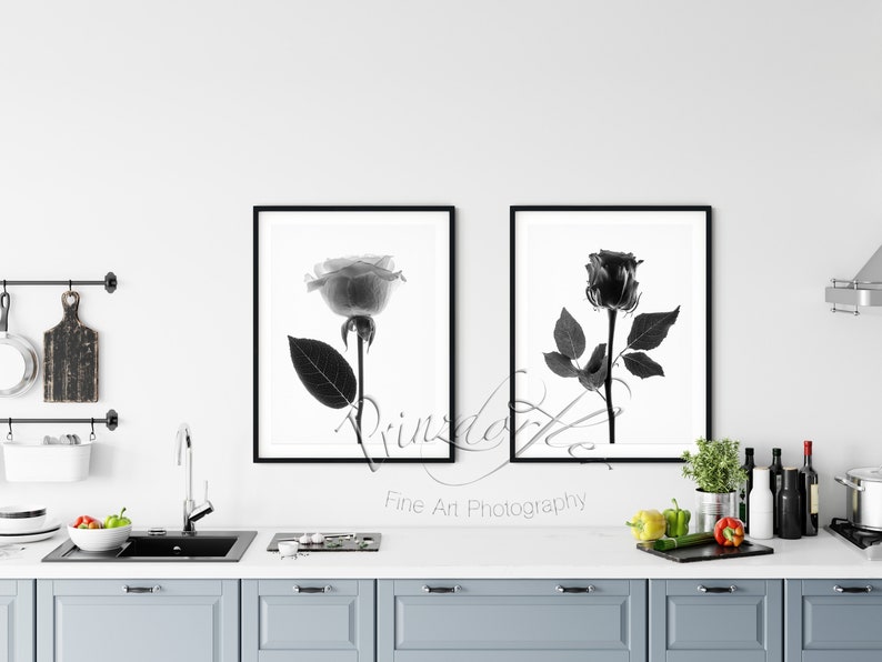 Black Rose 1 Black and White Print Wall Decor Flower Print Floral Print Beautiful Flowers Office Decor Rose Art Designer Wall Art