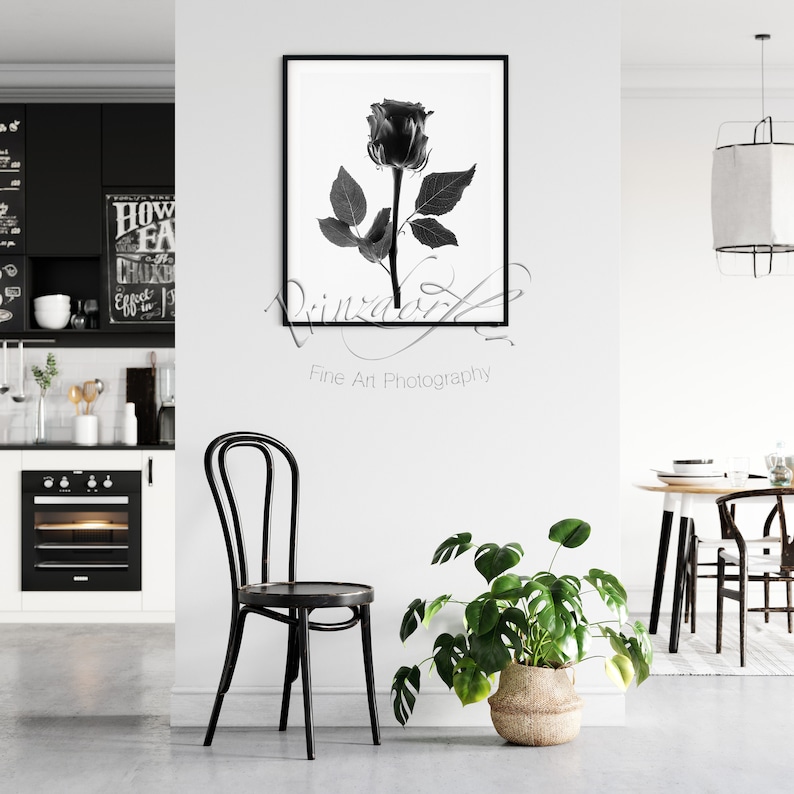 Black Rose 1 Black and White Print Wall Decor Flower Print Floral Print Beautiful Flowers Office Decor Rose Art Designer Wall Art