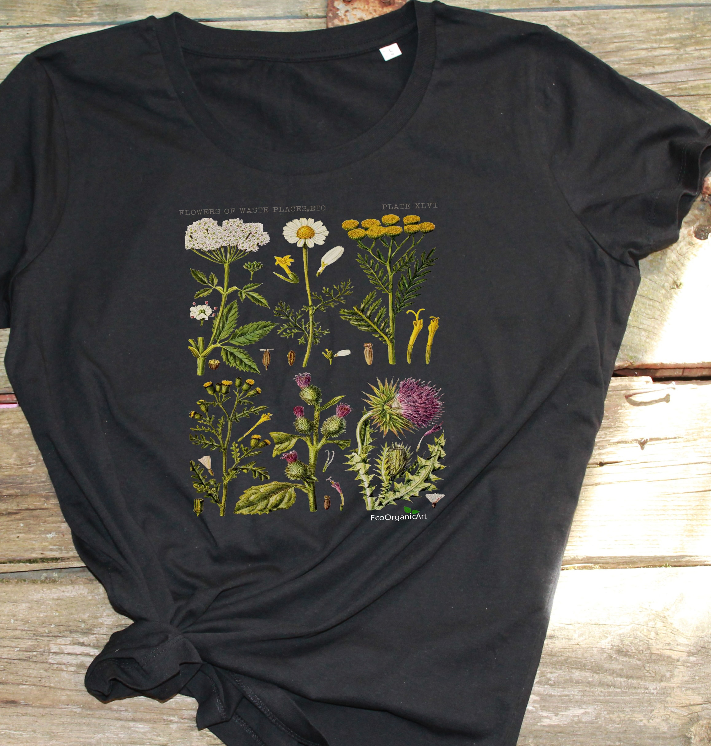 Botanical Tshirt 100 Organic Cotton Antique Botanical Print Etsy Canada