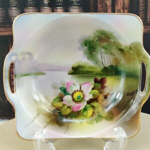 Vintage Noritake Plate: Hand-Decorated Floral Dish, Made in Japan