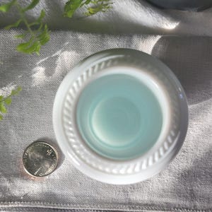 May include: A white ceramic bowl with a light blue interior, featuring a decorative rope-like border. A U.S. quarter coin is next to the bowl for size comparison. The bowl sits on a gray linen surface, with green foliage in the background.