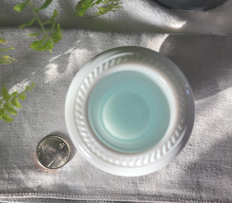 May include: A white ceramic bowl with a light blue interior, featuring a decorative rope-like border. A U.S. quarter coin is next to the bowl for size comparison. The bowl sits on a gray linen surface, with green foliage in the background.