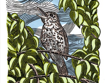 Song Thrush - limited edition linocut print, original artwork on Sunome Senaka 52gsm paper