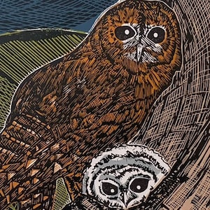 Tawny Owl and Young - limited edition linocut print, original artwork on Sunome Senaka 52gsm paper