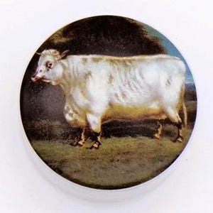 Puede incluir: Un botón redondo blanco y negro con una pintura de una vaca blanca de pie en un campo. La vaca es el punto focal, sobre un fondo oscuro. El botón tiene un borde blanco.