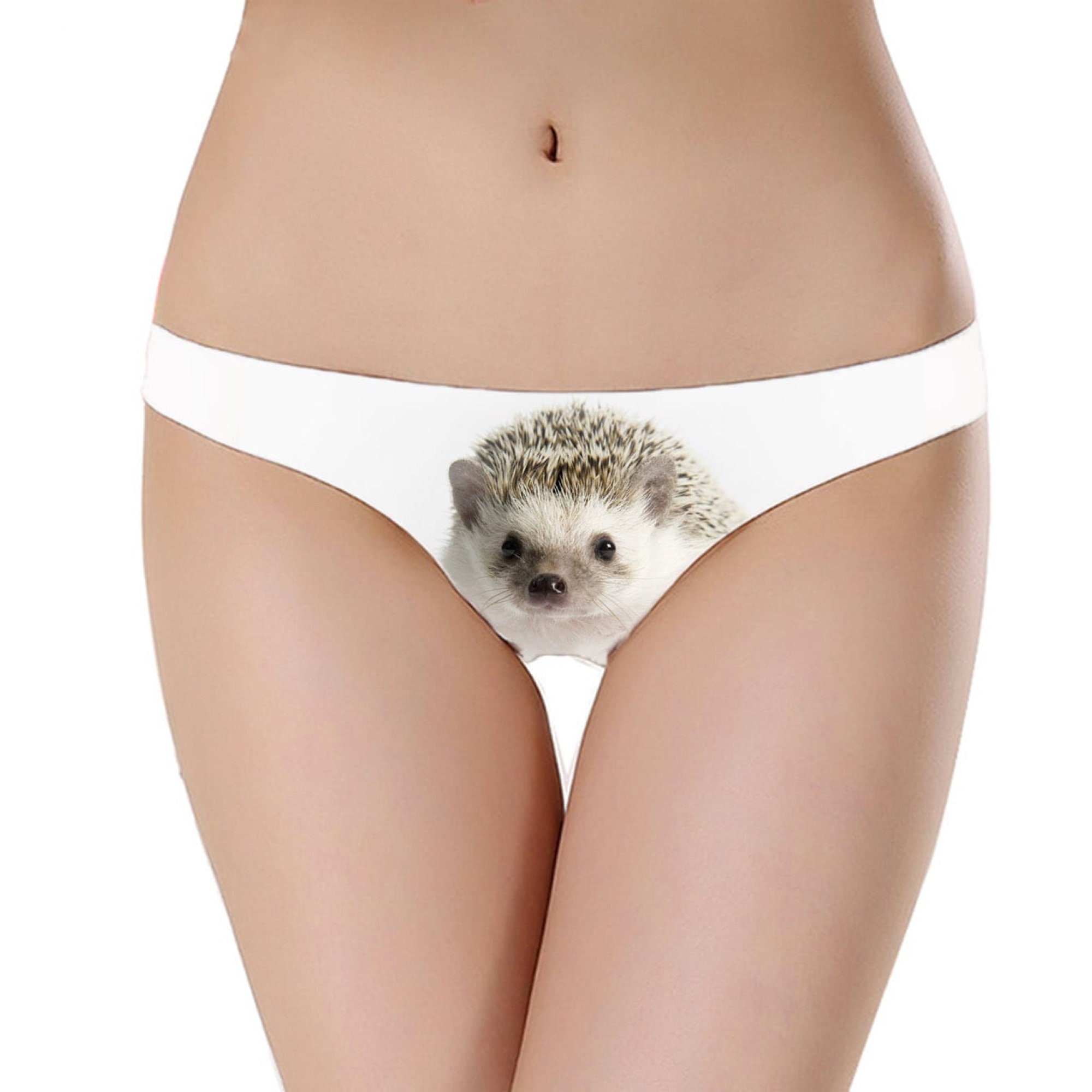 Hedgehog Animal Underwear Knickers Thong Beautiful Gift Present Womens  Designer Animal Custom Print Panties