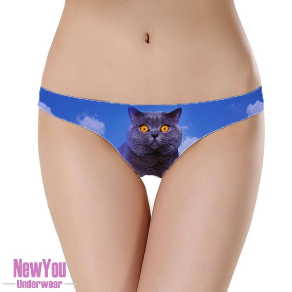 British Blue Cat Underwear Knickers Thong Beautiful Gift Present Womens  Designer Little Kitten Panties