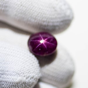May include: A polished, oval-shaped, deep purple gemstone with a six-rayed star pattern. The gem is held by a gloved hand against a white background. The star effect is caused by light reflecting off of inclusions within the stone.