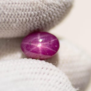 May include: A close-up of a vibrant, oval-shaped ruby gemstone. The gem is a deep pinkish-red color, with a star-like effect visible on its surface. The ruby is held against a white, textured background.