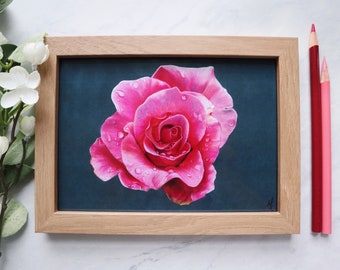 Colored Pencil Rose Etsy
