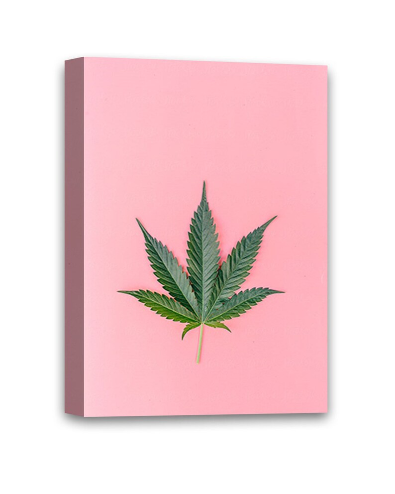 Weed Canvas Wall Art Hemp Plant Home Decor Prints Etsy
