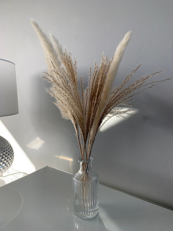 Pampas Grass in Glass Vase Etsy UK
