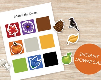 May include: A printable worksheet with the text "Match the Colors" and a grid of nine squares. Each square contains a different color. There are also nine images of various objects, such as a leaf, a pumpkin, a flower, and a pine cone. The images are meant to be matched to the corresponding colors on the grid.