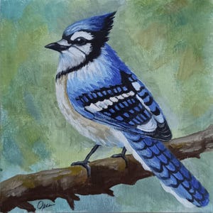 Arrendajo Azul – Pintura al óleo original de 15 x 15 cm sobre cartón. Arte de pájaro azul pintado a mano, ideal como decoración de pared natural o como regalo para los amantes de las aves.
