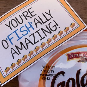 Team Gifts, Favor Tags, Cheer, Dance & Camp Gifts, Candy Gram, Inspirational PDF file INSTANT DOWNLOAD, &quot;You&#39;re O&#39;Fish&#39;ally Amazing!&quot;