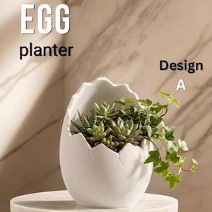 May include: A white egg-shaped planter with a cracked rim, filled with green succulents and trailing ivy. Text reads "EGG planter" and "Design A". The planter is a decorative item for the home.