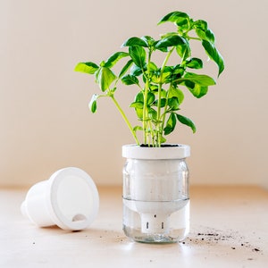 Pot de fleurs de 16,5 cm, jardinière à arrosage automatique pour plantes  d'intérieur et d'extérieur, pot de fleurs en plastique décoratif moderne 