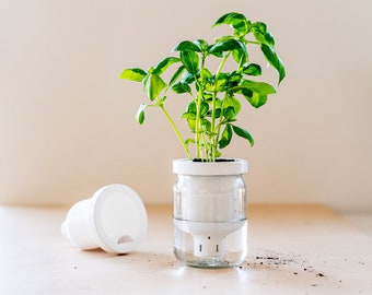 Self-Watering Indoor Planter Jar, 3D Printed, Indoor Plant, Active Lifestyle, Gardening Gift