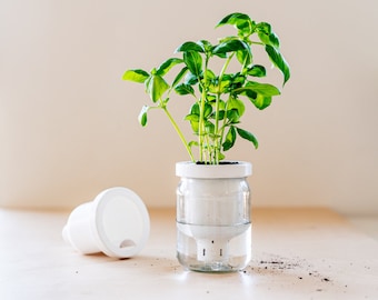 Self Watering Planter, 3D Printed Indoor Plant Pot, Modern Desk Planter, Housewarming, and Gardening Gift for Plant Lovers