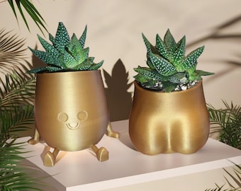 Maceta De Cerámica Para Cactus Y Suculentas, Con Diseño De Labios Grandes Ideal Para El Hogar Y La Oficina Color Rojo