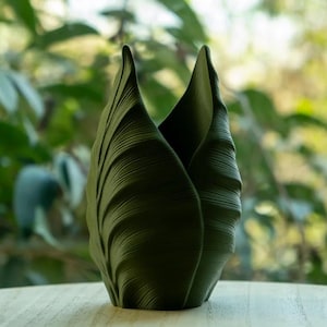 Puede incluir: Un jarrón escultórico verde oscuro con un diseño único en forma de pétalo. El jarrón tiene una superficie texturizada con líneas verticales y está sobre una superficie clara. El fondo está borroso, mostrando follaje verde.
