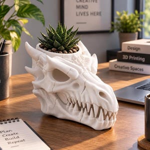 Peut inclure: Un pot de fleurs en forme de crâne de dragon blanc à la finition mate, présentant une structure osseuse texturée détaillée avec des dents pointues et des cornes. Une petite plante succulente verte rayée est plantée dans le crâne.