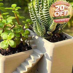 Jardinière de bureau Modern Villa - Pot compact pour succulentes à deux niveaux
