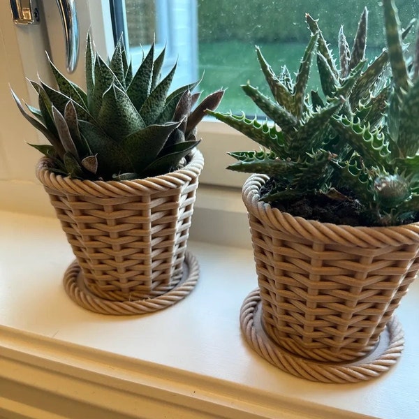 Stylish Plant Display, Modern Elegance Woven Planter, 3D Printed Plant Holder, Minimalist Unique Modern Succulent Holder