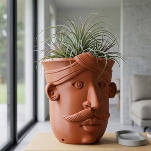 May include: A terracotta-coloured planter shaped like a human head with a moustache and a turban-style wrap around the top. The planter features a sculpted nose, ears, and lips, and contains a spiky, green air plant with thin, pointed leaves.