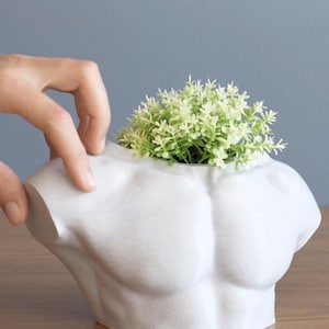 Unique Male Body Vase, Male Torso Vase, Pampass Grass Vase, Gay Art Decor, Male Body Planter, Bum Planter, Male Art, Cute Planter Set