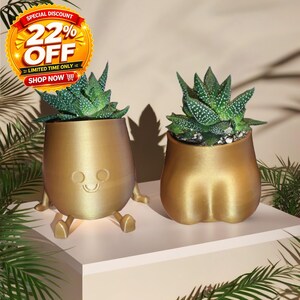 Schattige buitvormige plantenpot, leuk en uniek cadeau, eigenzinnig interieur