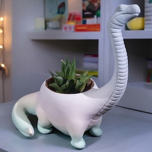 Può includere: Un vaso a forma di dinosauro bianco e azzurro con una pianta succulenta verde. Il vaso ha un lungo collo e coda, con una superficie strutturata. La succulenta ha foglie appuntite ed è in un vaso marrone.