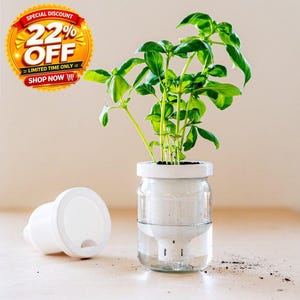 Maceta de interior con autorriego, impresa en 3D, para plantas de interior, estilo de vida activo, regalo para amantes de la jardinería.