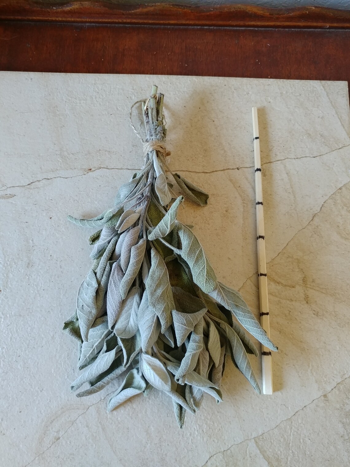 Dried Sage Bundle Small Bunch Dried Sage Dried Herbs Etsy