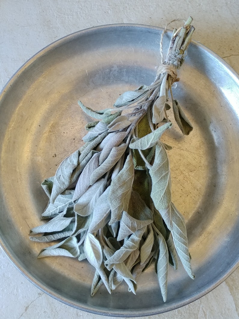Dried Sage Bundle Small Bunch Dried Sage Dried Herbs Etsy